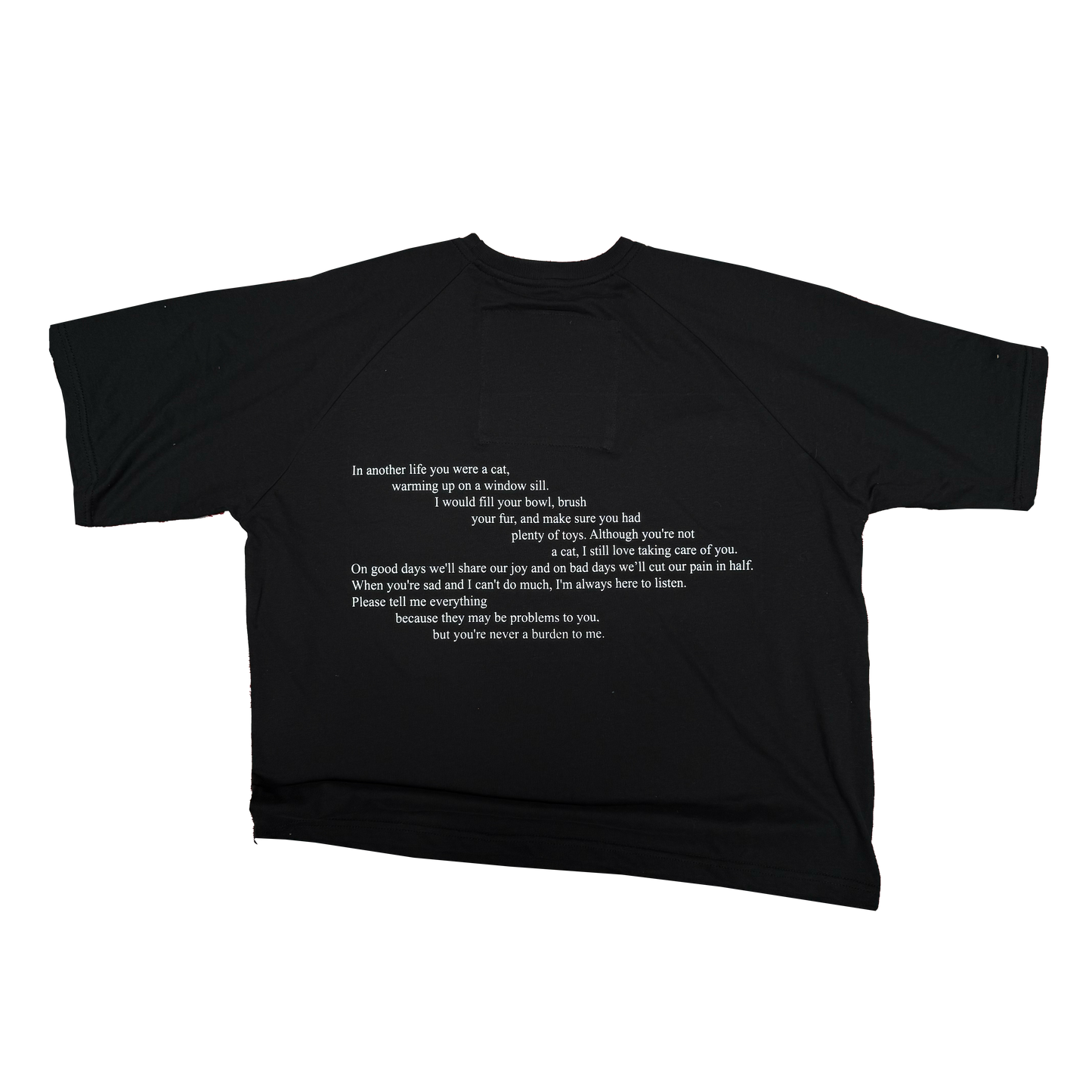 ASCII CAT - Heavy Boxy Raglan Tee Black