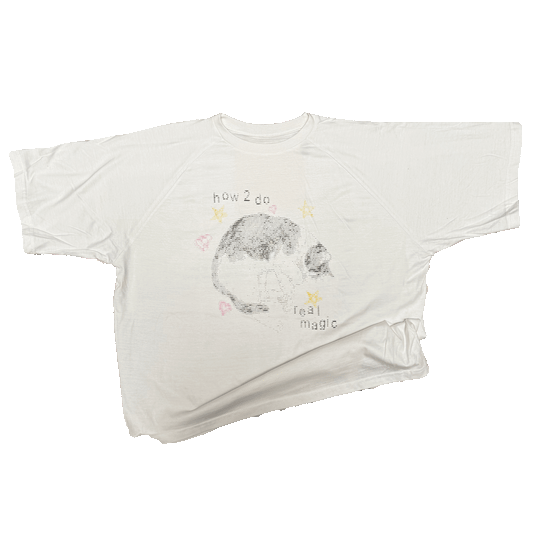 ASCII CAT - Heavy Boxy Raglan Tee White