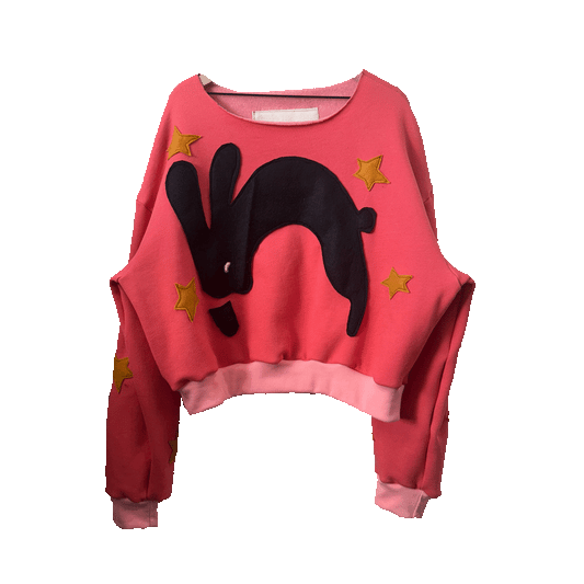 Super Hopper- Coral Baby Fleece Raw Neck Crewneck